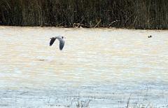 100302_Zacatec 067